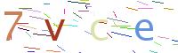 Verify Code